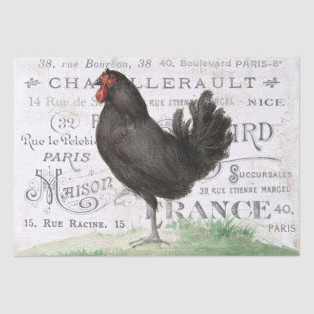 Black Chicken Hen Französisch Stadt Name Paris Dec Seidenpapier (Vorderseite)