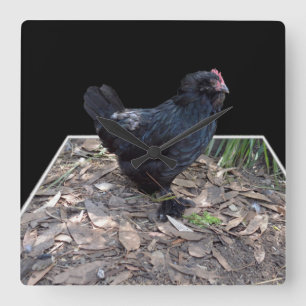 Black Chicken Pop Out,_Square Wall Clock Quadratische Wanduhr
