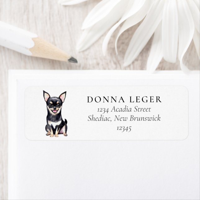 Black Chihuahua Dog-Adresse (Insitu)