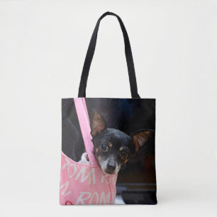 Black Chihuahua Shopping