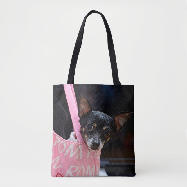Black Chihuahua Shopping (Vorderseite)