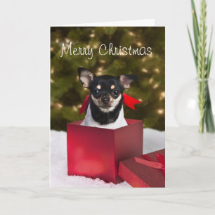 Black Chihuahua Weihnachtskarte Feiertagskarte