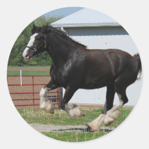 Black Clydesdale Runder Aufkleber