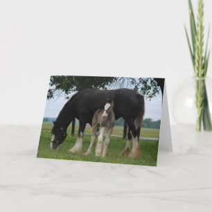 Black Clydesdale und Filly Karte