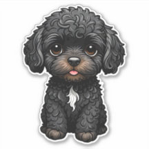 Black Cockapoo