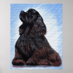 Black Cocker Spanel Dog Portrait Poster
