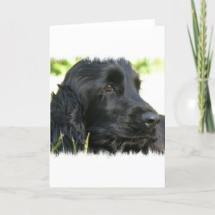 Black Cocker Spaniel Dog Grußkarte Karte