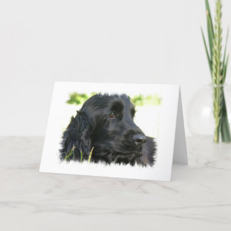 Black Cocker Spaniel Dog Grußkarte Karte