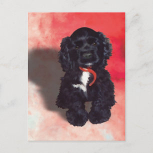 Black Cocker Spanisch Puppy - Abby Postkarte
