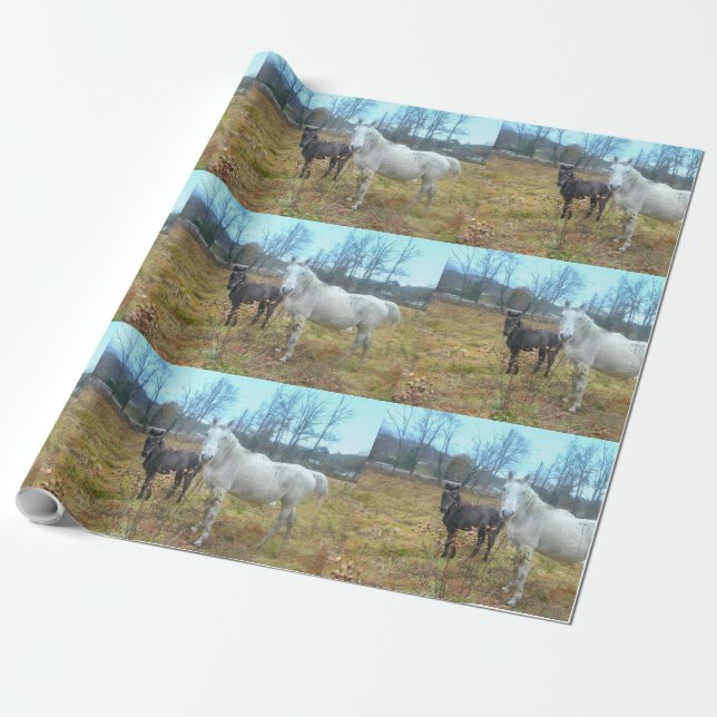 Black Colt White Horse Geschenkpapier (Ungerollt)