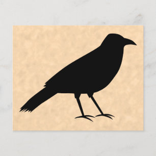 Black Crow Bird auf einem Parchment-Muster. Flyer