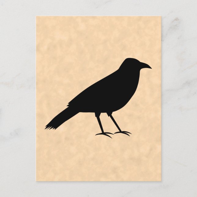 Black Crow Bird auf einem Parchment-Muster. Postkarte (Vorderseite)