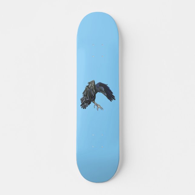 Black Crow Master of Time Illustration Sky Blue Skateboard (Vorne)