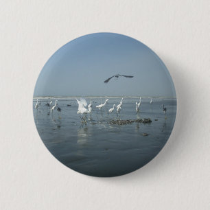 Black Crow und White Cranes: Ein Kontrast in der N Button