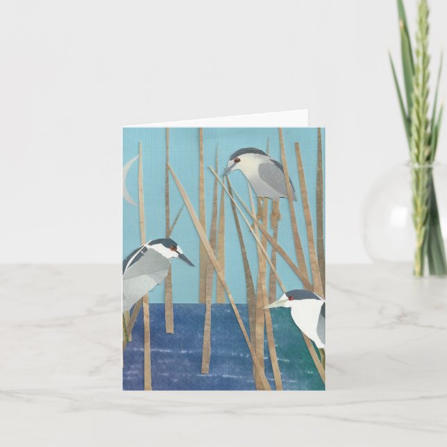 Black-Crowned Night Herons Karte (Vorderseite)