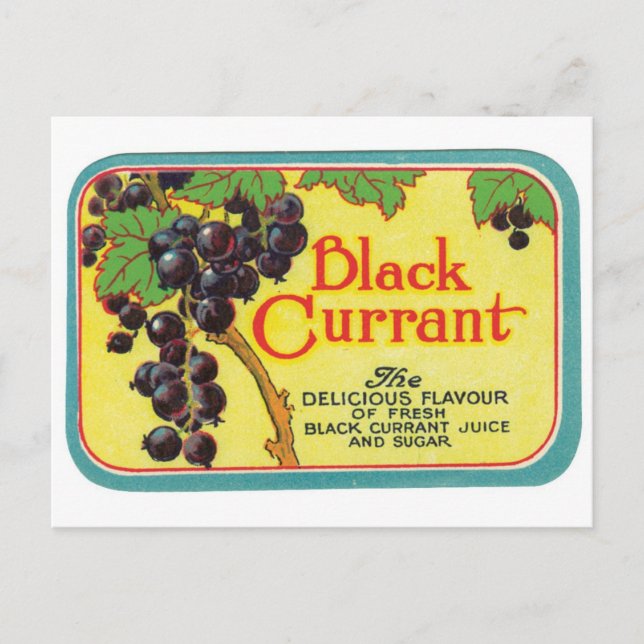 Black Currant Juice Dark Berries Vintages Label Postkarte (Vorderseite)