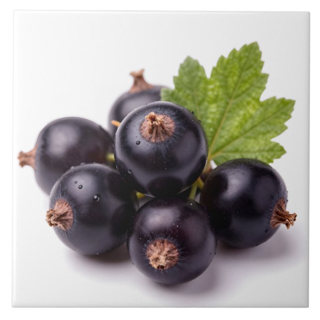 Black Currants With Water Drops & Green Leaf Fliese (Vorderseite)