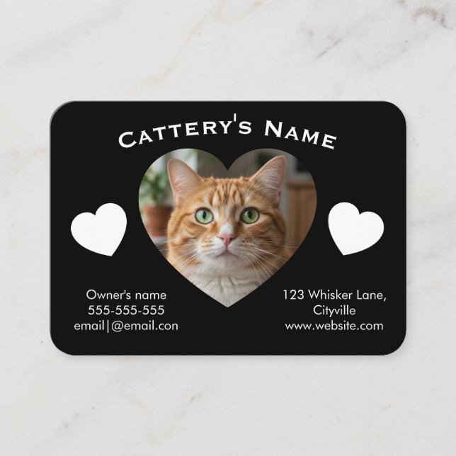 Black Customizable Cattery Business Card  Visitenkarte (Vorderseite)