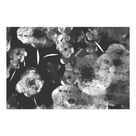 BLACK DAHLIAS FOTODRUCK