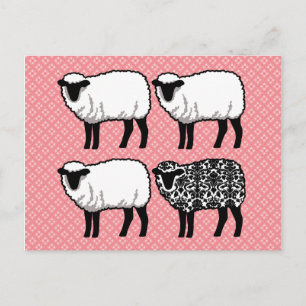 Black Damask Sheep Postkarte