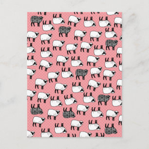 Black Damask Sheep Postkarte
