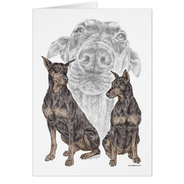 Black Doberman Hunde (Vorne)