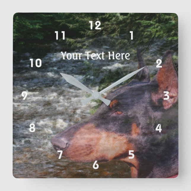 Black Doberman Pinscher Dog and Stream Quadratische Wanduhr (Vorderseite)