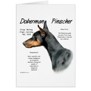 Black Doberman Pinscher History