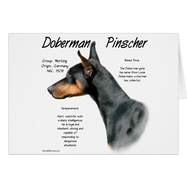 Black Doberman Pinscher History (Vorderseite (Horizontal))