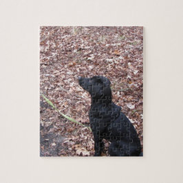 Black Dog Foto Puzzle