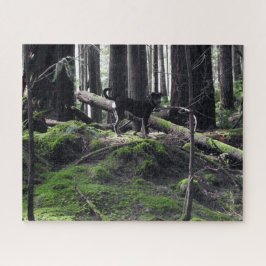 Black Dog Labrador Shepherd Forest Woods Picture F Puzzle
