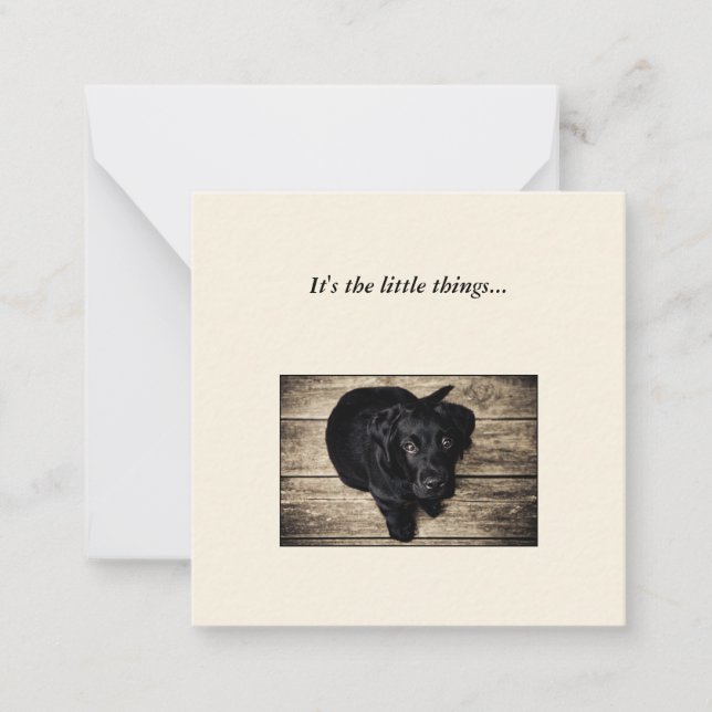 Black Dog Mini Vielen Dank Note Card Mitteilungskarte (Vorderseite)
