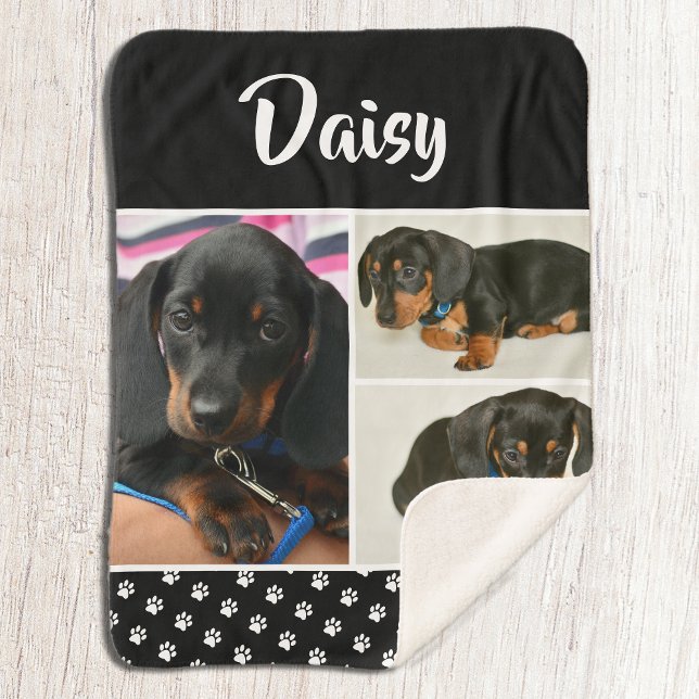 Black Dog Pet Lover Foto Collage Pawprint Sherpadecke (Von Creator hochgeladen)