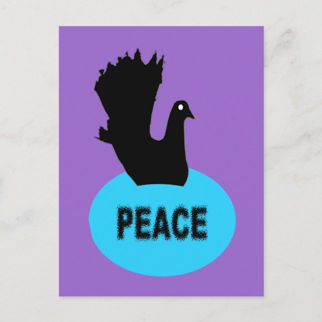 Black Dove Peace Postcard Postkarte (Vorderseite)