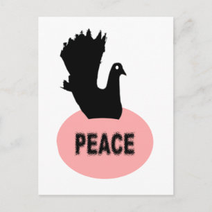 Black Dove Peace Postcard Postkarte
