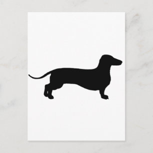 Black Doxie Postkarte