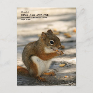 Black Duck Cove Park Postkarte