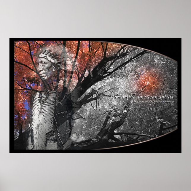 BLACK ELK POSTER (Vorne)