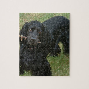 black english cocker spaniel full 2 puzzle