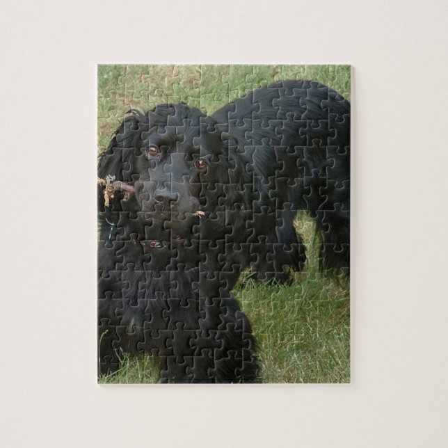 black english cocker spaniel full 2 puzzle (Vertikal)