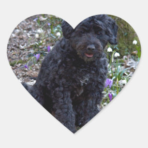Black English Springer Spaniel Herz-Aufkleber