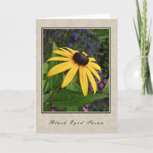 Black Eyed Susan - Floral Series Karte