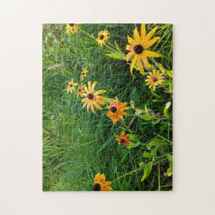 Black Eyed Susan Remix Puzzle