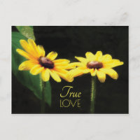 Black Eyed Susan True Love Quote