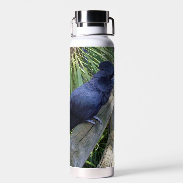 Black Feathers: Australian Black Parrot Trinkflasche (Rückseite)