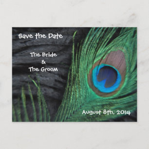 Black Feathers Save the Date Ankündigungspostkarte