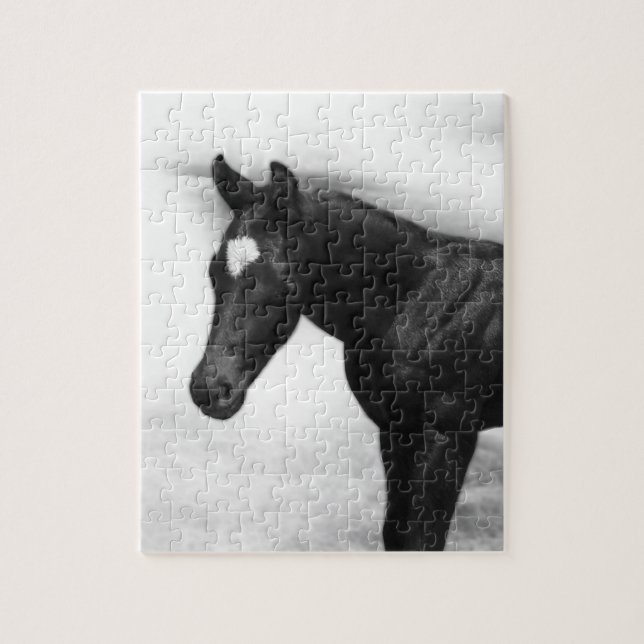 Black Foal Puzzle (Vertikal)