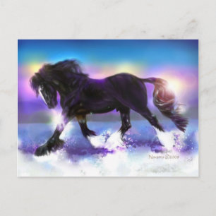 Black Foot Shire Postkarte