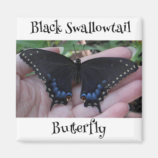 Black Frack Butterfly #1 Magnet