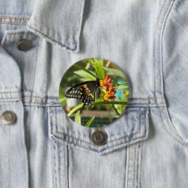 Black Frack Butterfly #2 Button